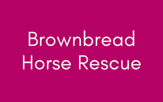 Brownbread Horse Rescue