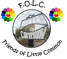 Friends of Little Common