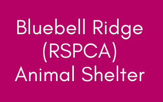 Bluebell Ridge (RSPCA) Animal Shelter